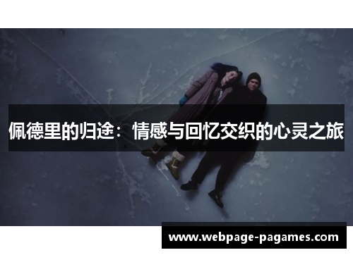 佩德里的归途：情感与回忆交织的心灵之旅