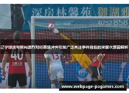 辽宁球迷与裁判激烈对峙赛场冲突引发广泛关注事件背后的深层次原因解析