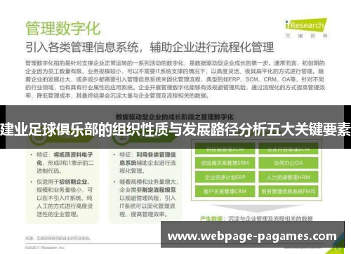 建业足球俱乐部的组织性质与发展路径分析五大关键要素